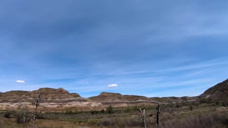 traveling past mountains in a desert area with dead trees and grass on a sunny day.