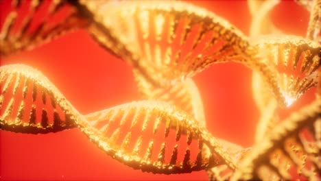 Estructura-De-La-Animación-De-Doble-Hélice-De-Adn