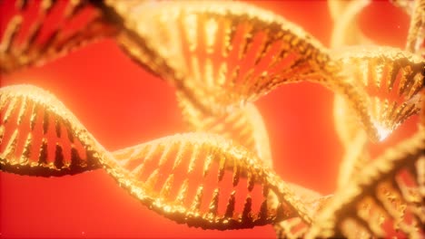 estructura de la animación de doble hélice de adn