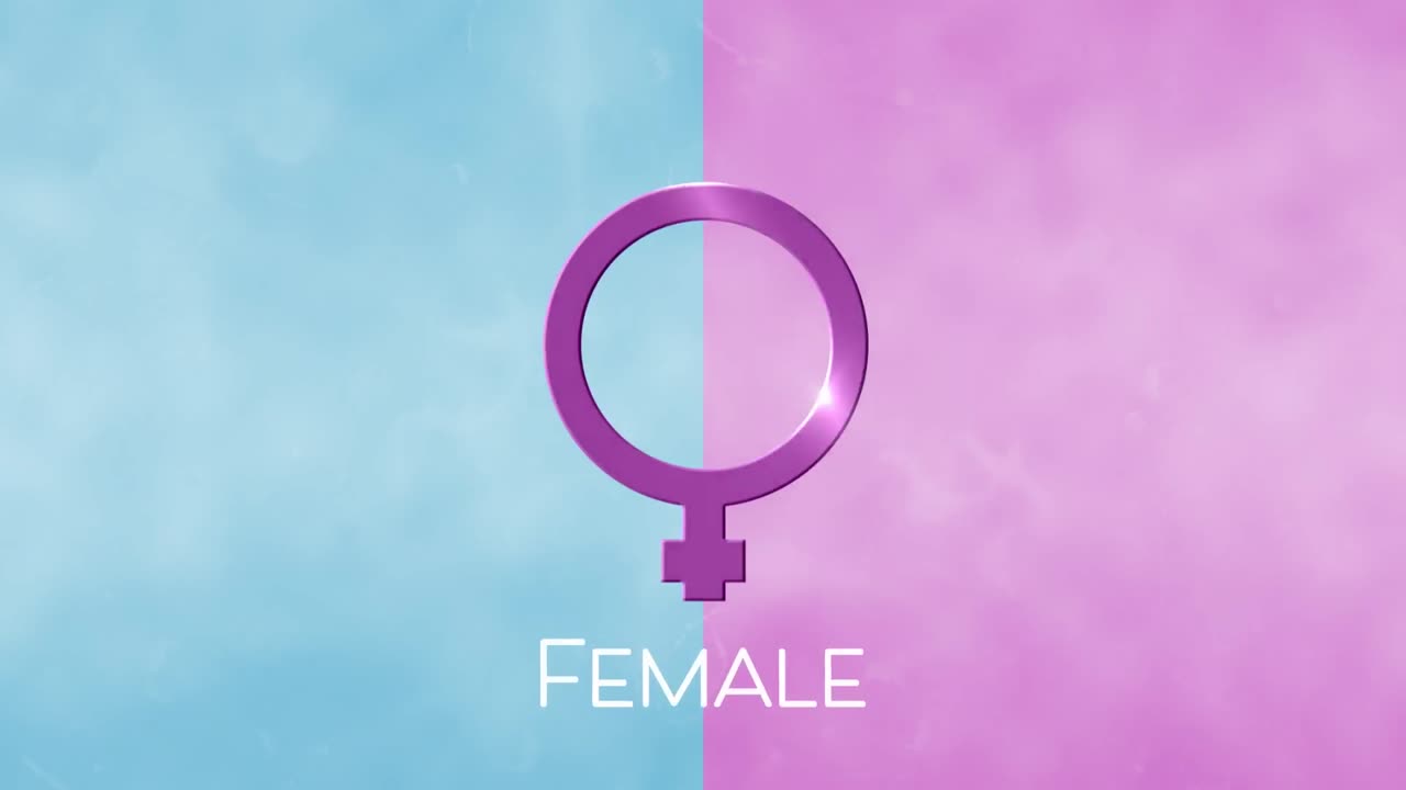 animazione di testo femminile con simbolo di genere femminile viola, su sfondo blu e rosa