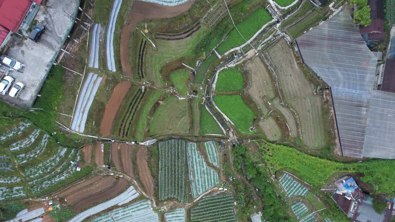 vista general del paisaje del distrito de brinchang dentro del área de cameron highlands de malasia