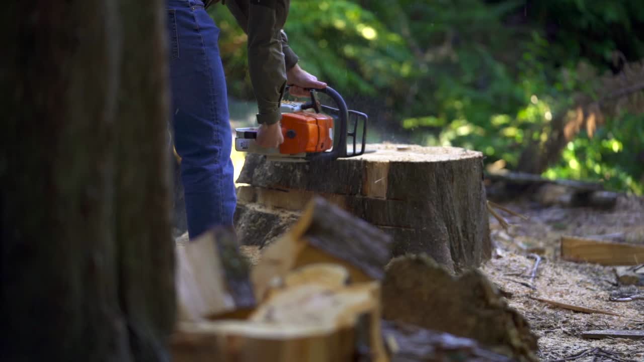 Man Cutting Tree Stump with Chainsaw