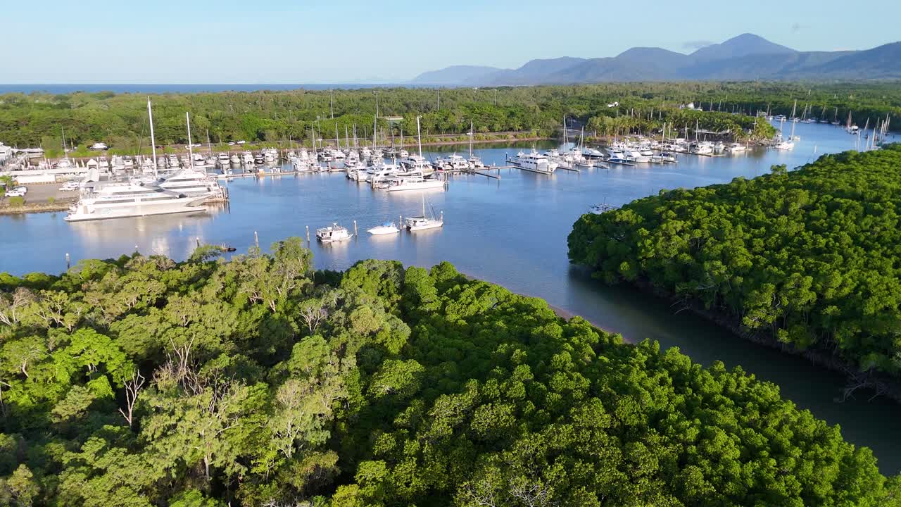Drone footage captures vibrant mangroves and a marina under clear skies, highlighting natural beauty and human activity