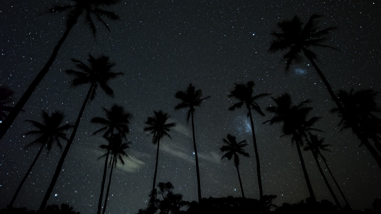 lapso nocturno de millones de estrellas y nubes de magallanes más allá de la silueta de altas palmeras de coco