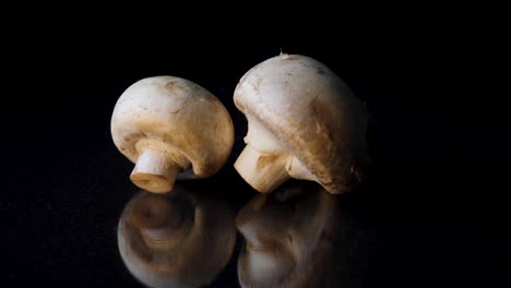 two mushrooms on black background