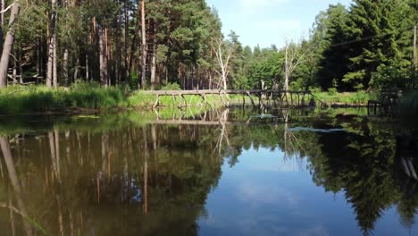 fallen tree and trunk stick out of the water sunny day aerial dolly
