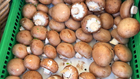 Frische-Braune-Champignons-Aus-Bio-Baumwolle-Zum-Verkauf-Auf-Einem-Lokalen-Bauernmarkt-In-Marbella,-Spanien,-Gesundes-Bio-Gemüse,-4K-Aufnahme