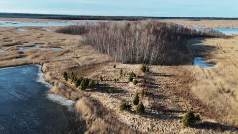 Wooden-Bords-Trail-Through-the-Kaniera-Lake-Reeds-Aerial-Spring-Shot-Lapmezciems,-Latvia