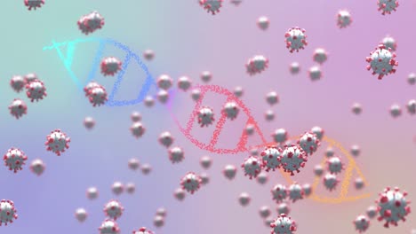 animación de células de covid-19 y cadena de adn girando sobre un fondo púrpura