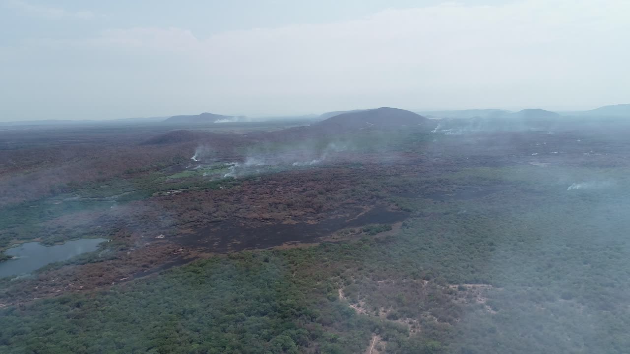 pantanal quema humo de incendios forestales sobre bosque quemado
