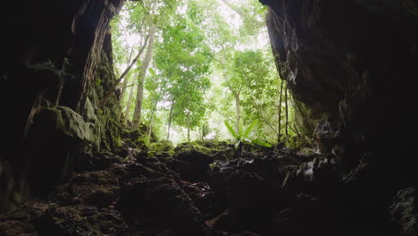 Tiro-De-Pedestal-Ascendente-Que-Revela-La-Vegetación-De-La-Jungla-Fuera-De-La-Apertura-De-La-Cueva