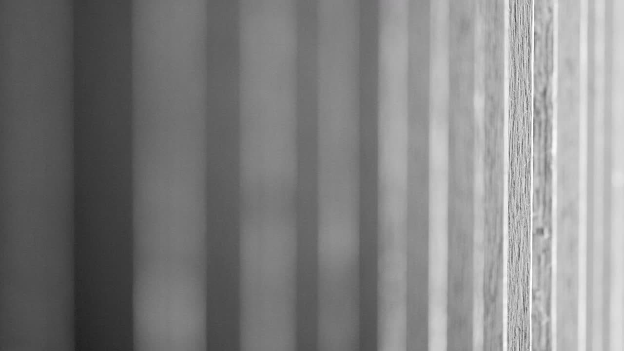 Constrast Wooden background with lines B&W