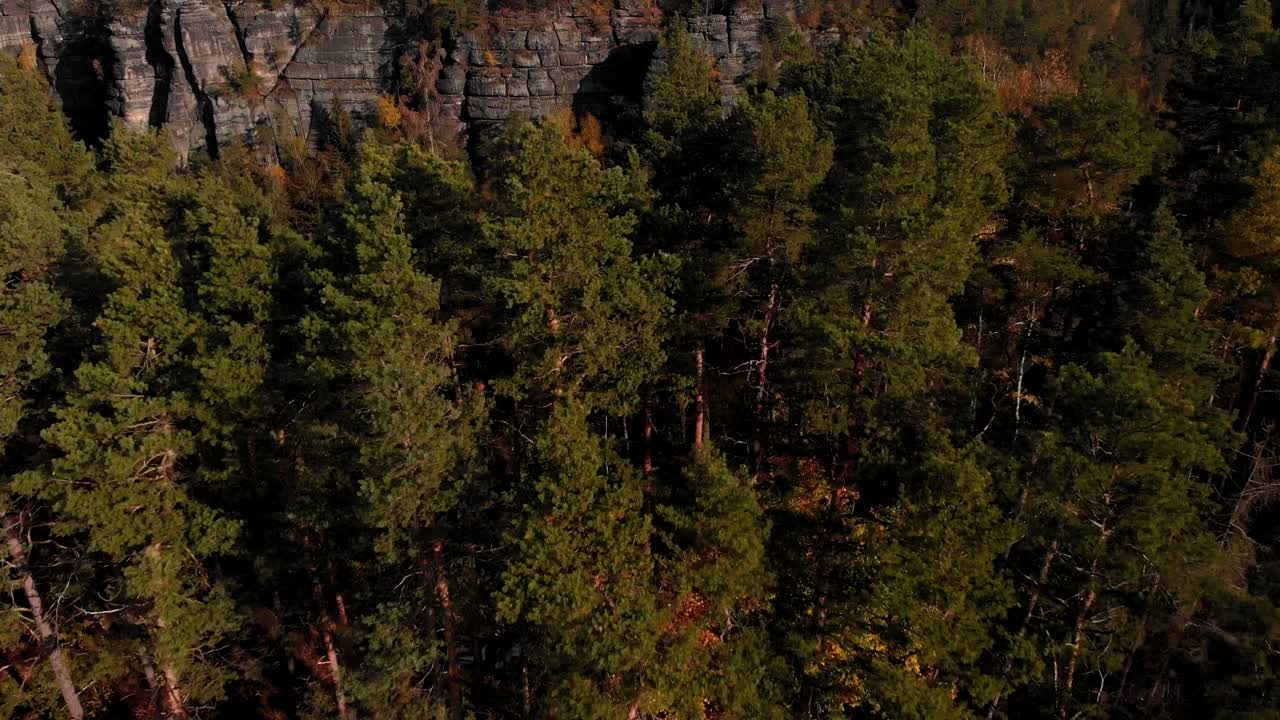 carretera junto al bosque de otoño sobre acantilados rocosos en la suiza sajona