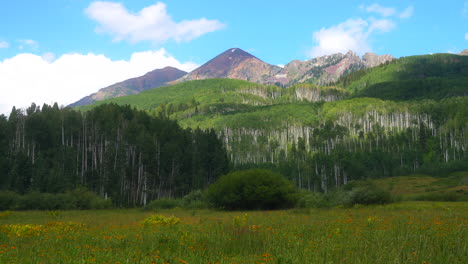 Filmischer-Zeitlupen-Schieberegler,-Blauer-Himmel,-Bewölkt,-Friedliche-Brise,-Bunt,-Colorado,-Sommer,-Wildblumen,-Espenwald,-Kebler-Pass,-Crested-Butte,-Gunnison,-Atemberaubende-Rocky-Mountains,-Gipfellandschaft,-Tal