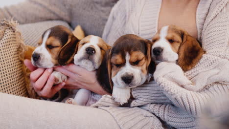 Una-Familia-Descansa-En-La-Terraza-De-Su-Casa,-Sosteniendo-Varios-Cachorros-En-Sus-Manos