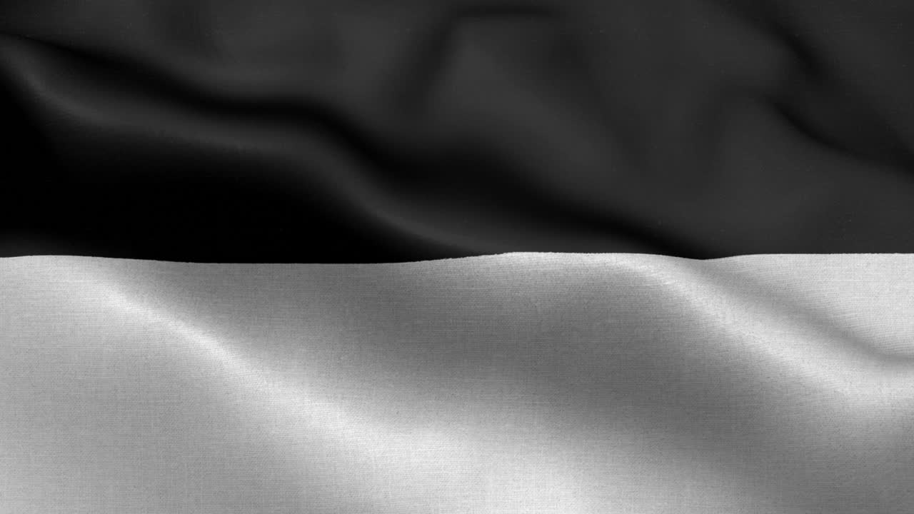 Flag of Ulm, Baden - Württemberg - Germany state flags - German municipal flags - Germany - Flag wave Pattern loopable Elements - Slow motion shot flag - Loop ready full screen flag is waving in slow motion. Realistic 3D animation. 4K resolution.