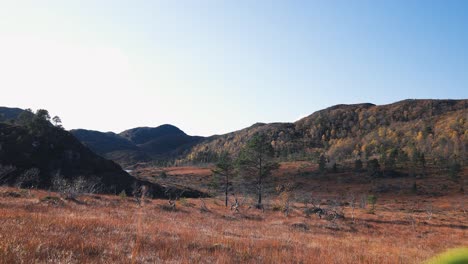 Young-man-running-from-right-to-left-over-a-dry-meadow-in-the-sun-and-hills-in-the-background