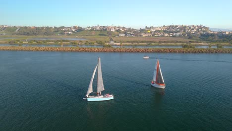 Sailboats-Sailing-In-The-Basin-Of-Marina-Del-Rey-In-Los-Angeles,-California,-USA