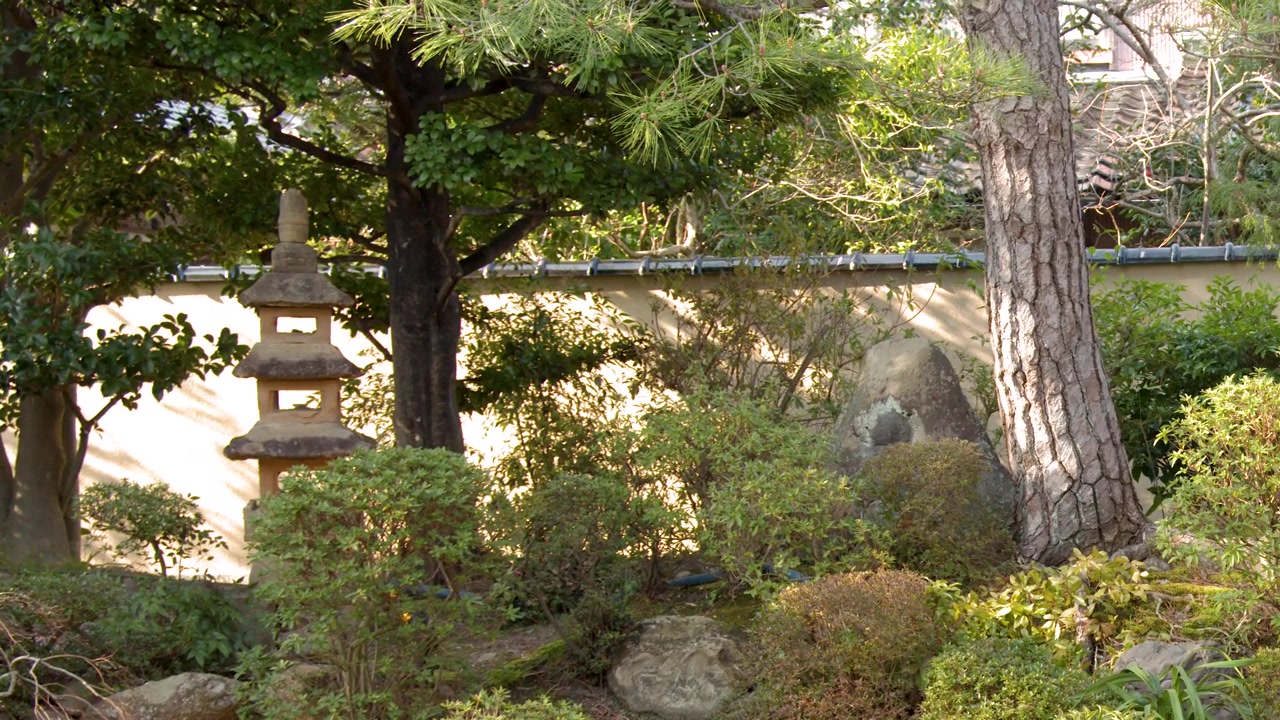 Lenta panoramica della telecamera attraverso un sereno giardino giapponese con lanterne di pietra, pini e rocce.