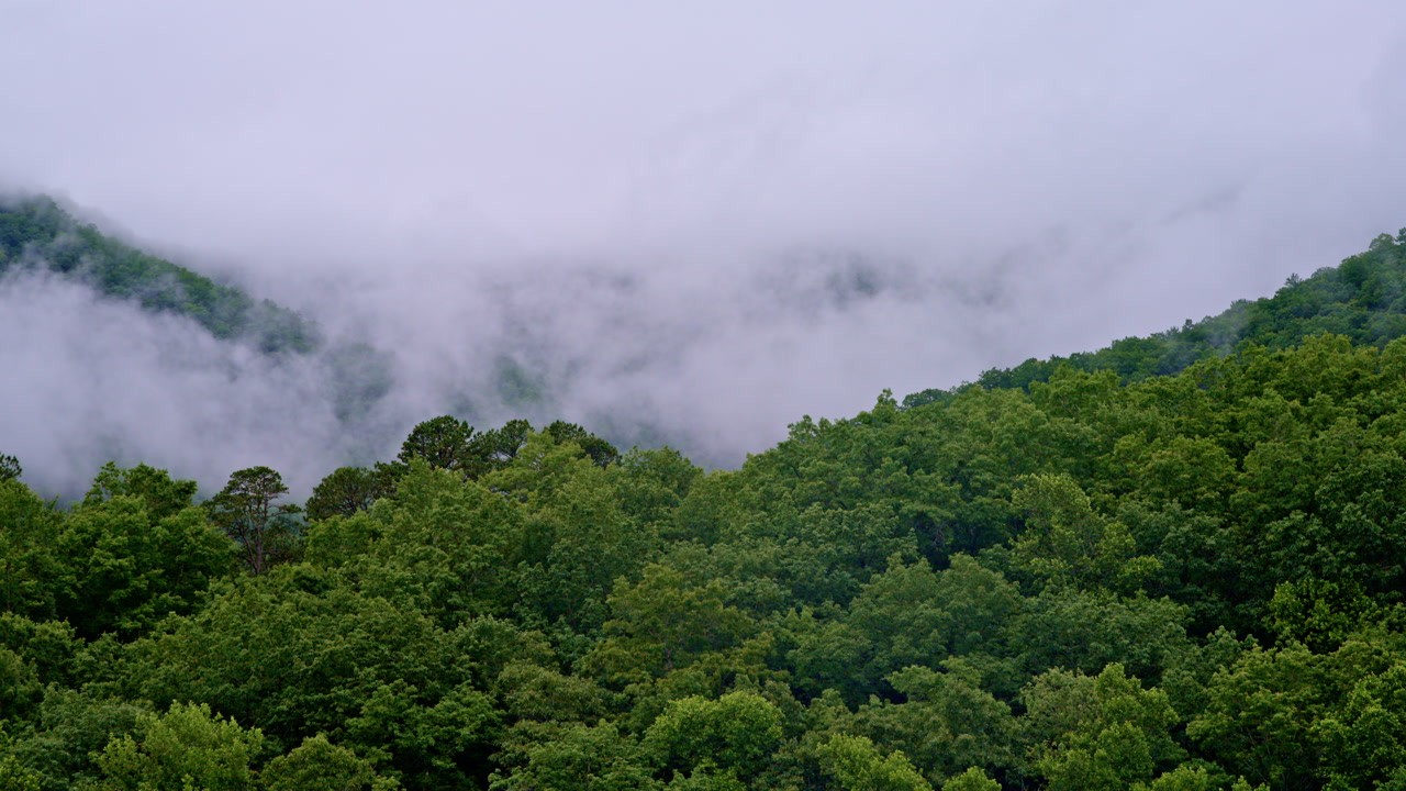 Aerial cinematic perspective of Smokies under heavy fog.