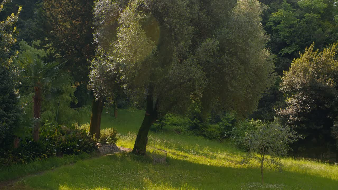 Ampia inquadratura di una panchina appesa a un albero sul Lago di Como, Italia, al tramonto con caldi raggi di luce.