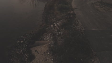 a shoreline of a misty marsh like lake