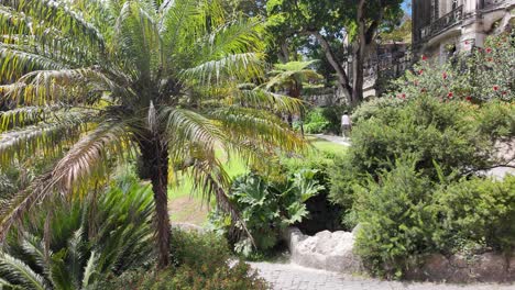 lush garden with tropical plants and historic stone building in sintra, portugal