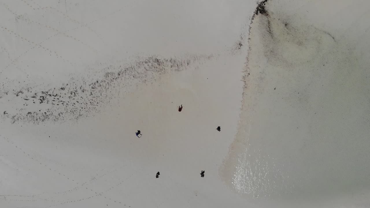 4k 공중의 해변과 잔잔한 바닷물, 모래 속에 5명이 오각형을 형성하고 있습니다.제목 화면 또는 복사 공간의 배경