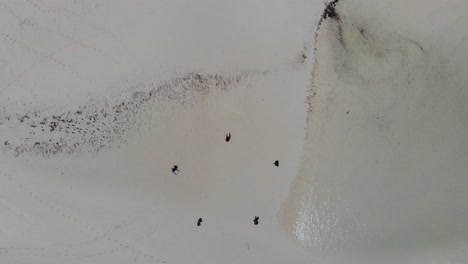 4K-aerial-of-beach-and-calm-ocean-water-with-five-people-in-the-sand-forming-a-pentagon:-background-for-title-screen-or-copy-space