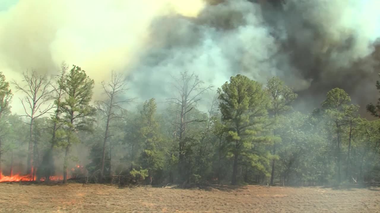 들판과 숲을 통해 타오르는 불의 시간 경과