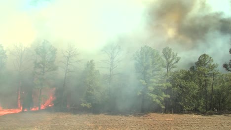 Zeitraffer-Eines-Feuers,-Das-Durch-Ein-Feld-Und-Einen-Wald-Brennt