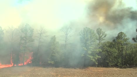 lapso de tiempo de un fuego que arde a través de un campo y un bosque