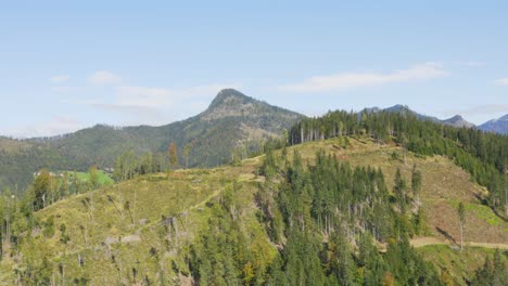 Bewaldete-Hügellandschaft-Bei-Eisenkappel-Vellach-In-österreich