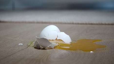 broken egg on the floor