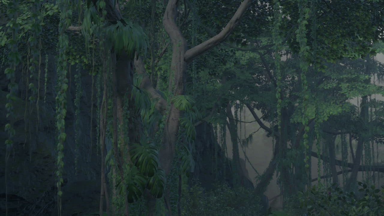 bosque de la jungla de niebla