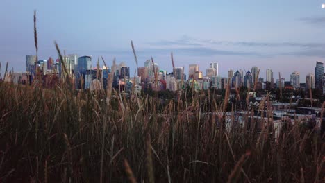 skyline with grass with moon in evening pan circling calgary alberta canada