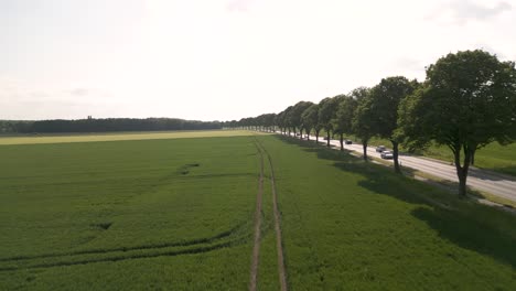 Toma-Aérea-Ascendente-De-Autos-Conduciendo-Junto-A-Un-Exuberante-Prado-En-El-Campo-Alemán