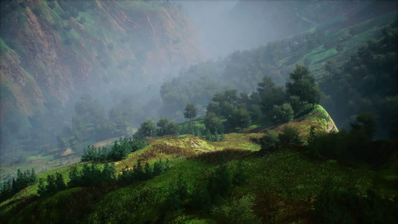 paisajes forestales aéreos europeos