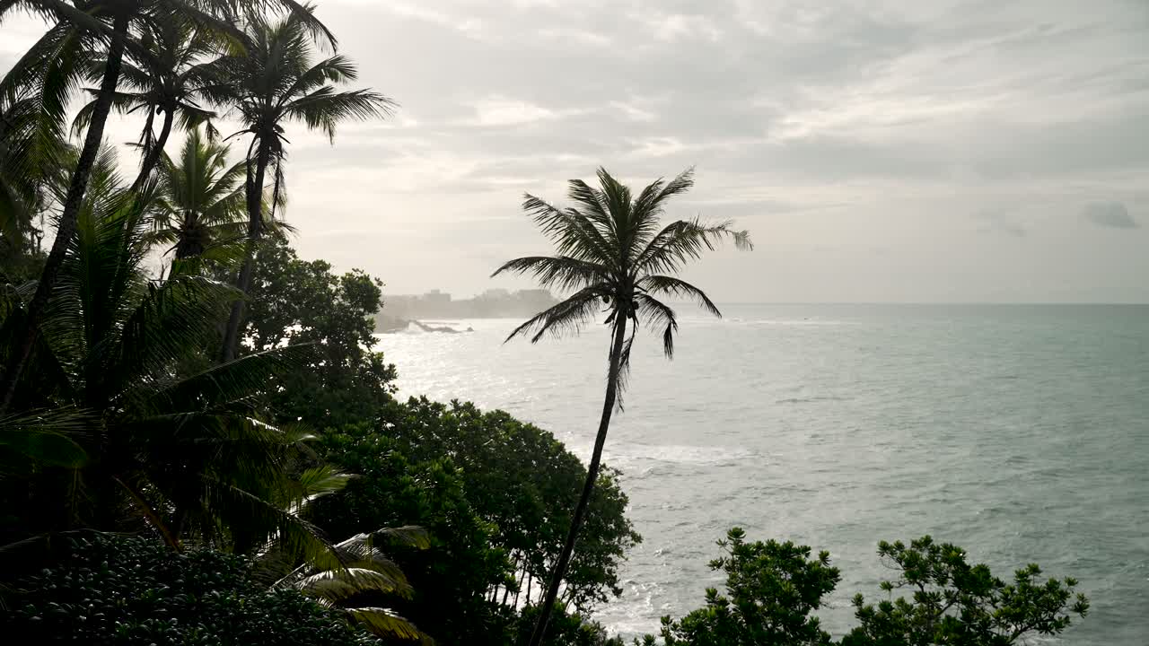 진정하고 평화로운 분위기를 위해 완벽한 푸른 바다와 흔들리는 나무와 함께 평온한 열대 해안의 경치가 아름답습니다.