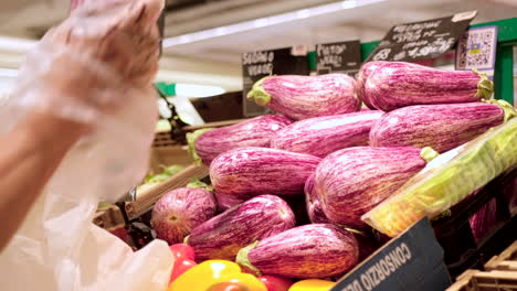 picking eggplant at grocery store