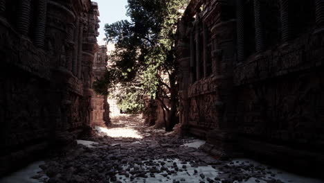 antiguas ruinas del desierto