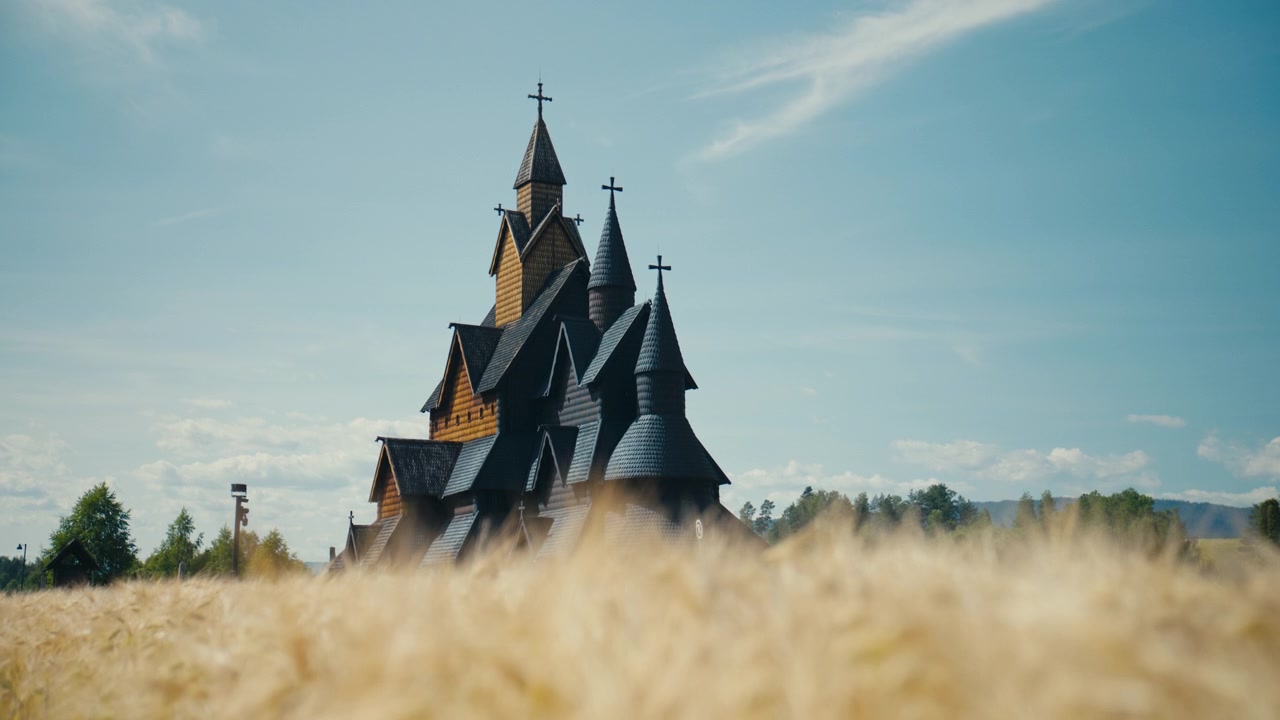 Heddal Stave Church rises beyond a golden grain field under a clear summer sky in Telemark, Norway. The low-angle composition highlights the iconic wooden structure, spires and landmark.