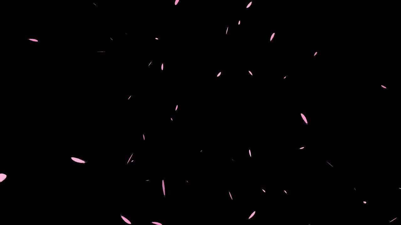 분홍색 털 날아가는 입자 모션 그래픽