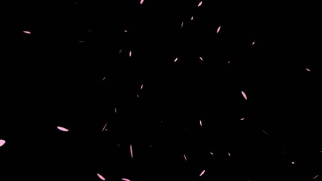 gráficos de movimiento de partículas de pluma rosada en vuelo