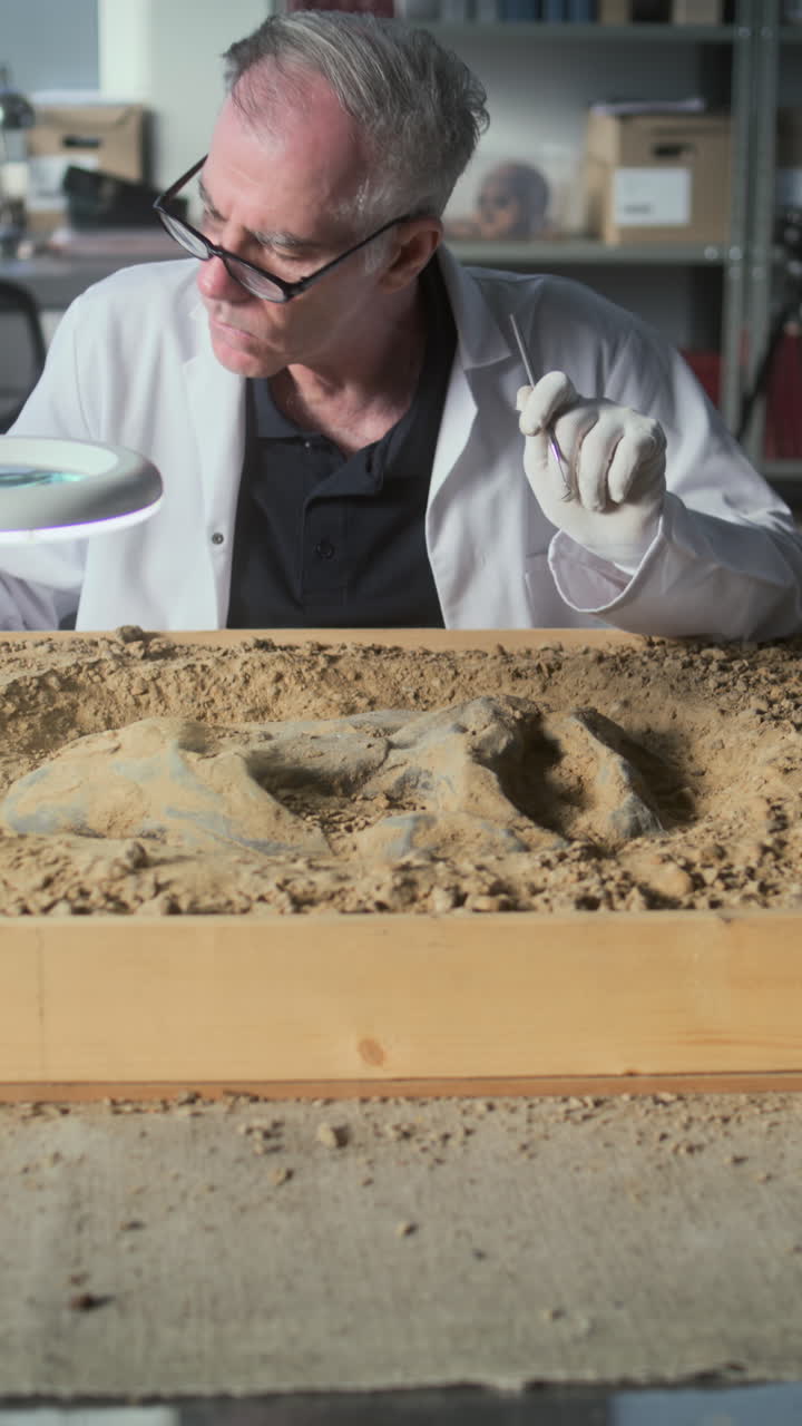 paleontólogo examinando el fósil