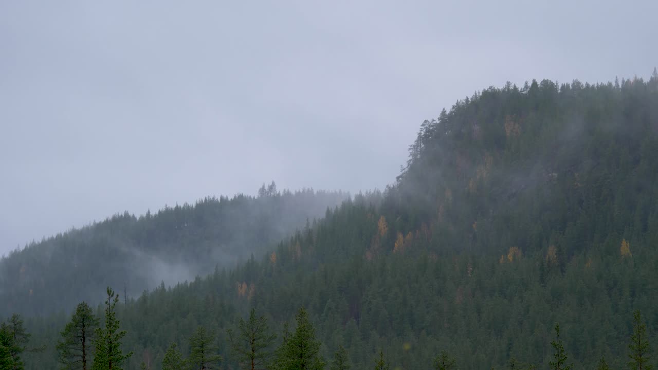 Time-lapse of mist covering up a mountain of pine and fir forest in Lapland, West Bothnia, Sweden