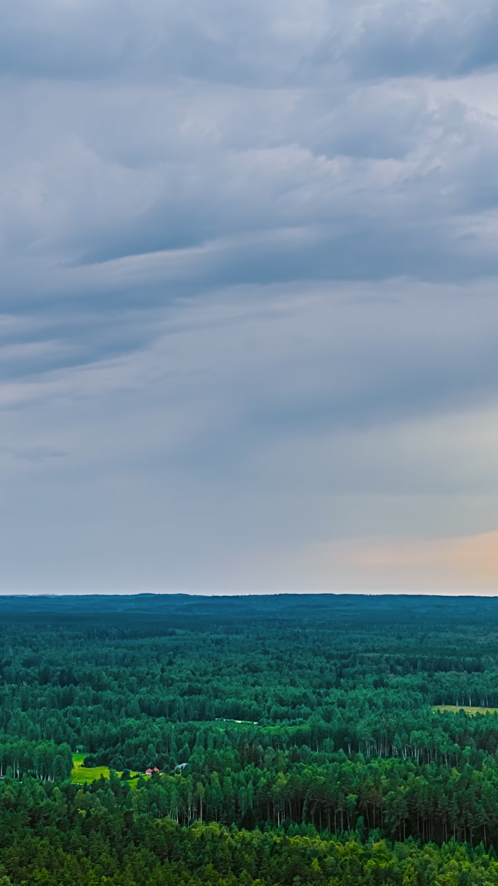 Gray clouds drift quickly past over a wooded area, the trees swaying in the wind. Aerial time lapse.