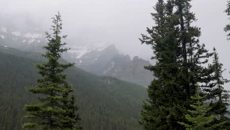 view of the mountain range surrounding moraine lake in banff national park alberta on a slightly foggy afternoon.