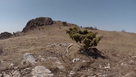 female day hiker with rucksack on rocky trail in balkan mountains bulgaria