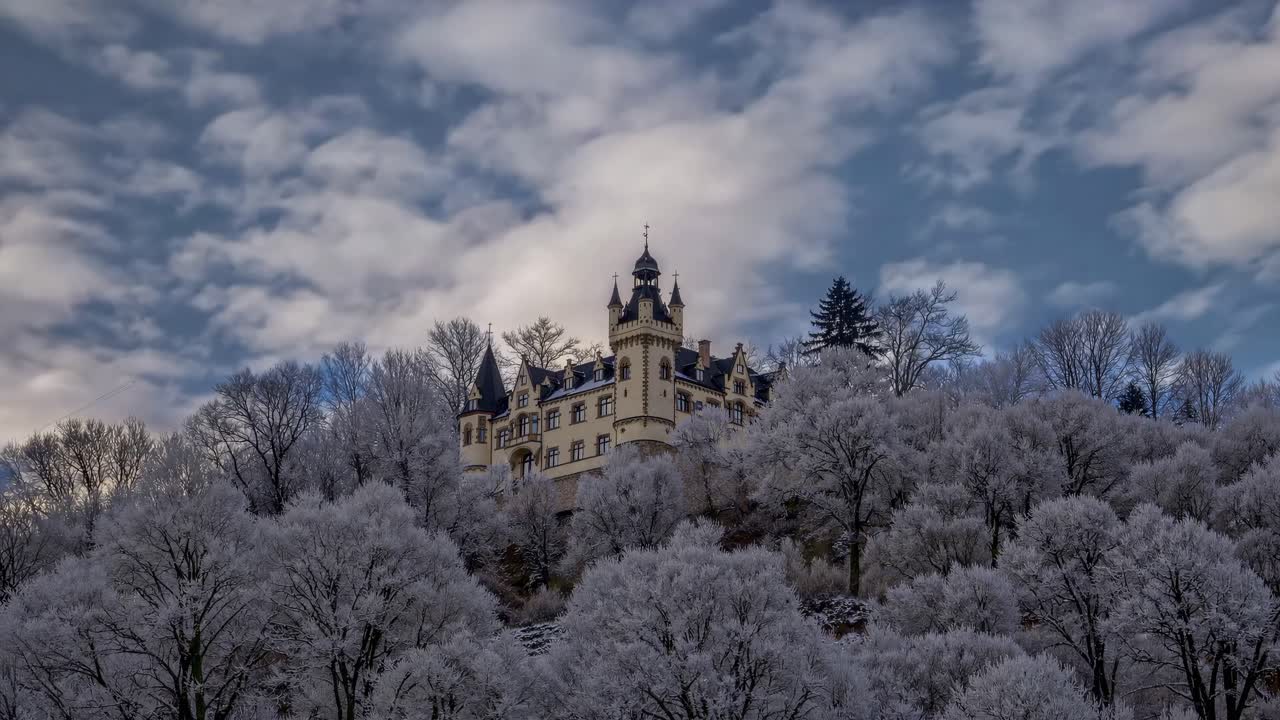 A serene winter video showcasing a majestic castle surrounded by snow-covered trees